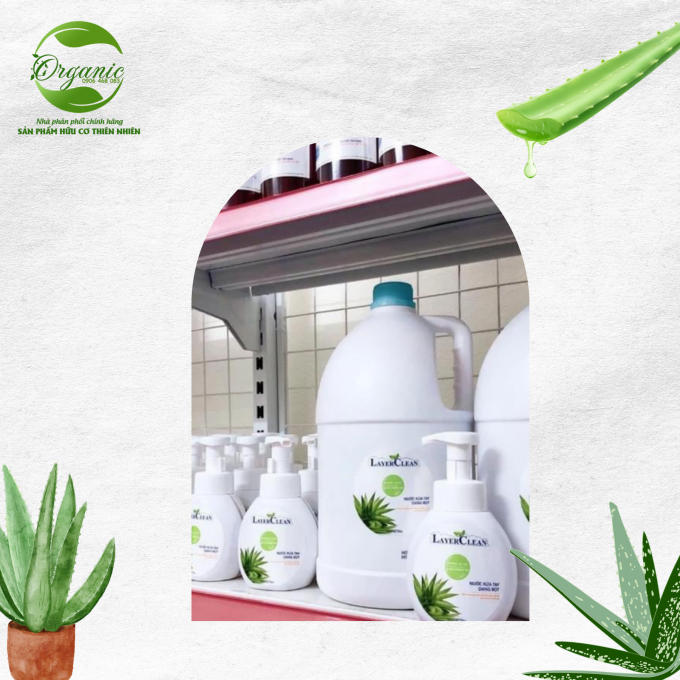 Nước rửa tay hữu cơ dạng bọt trà xanh lô hội 5L Layer
