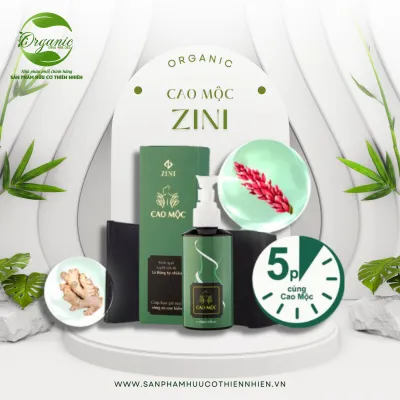 Cao Mộc Zini