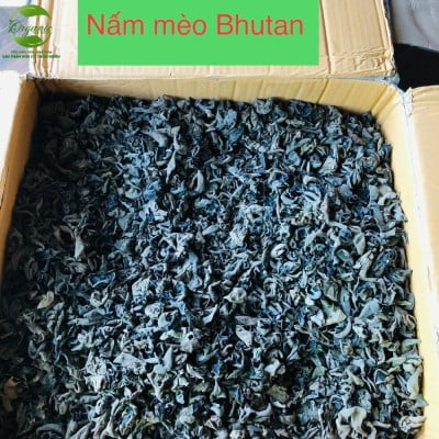 Nấm Mèo Bhutan 200g-1kg