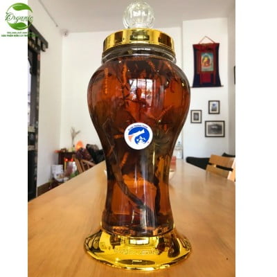 Rượu Thiên Sơn Tuyết Liên Hoa