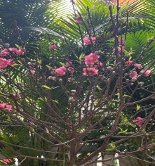 Doanh thu 1 tỷ đồng được miễn thuế