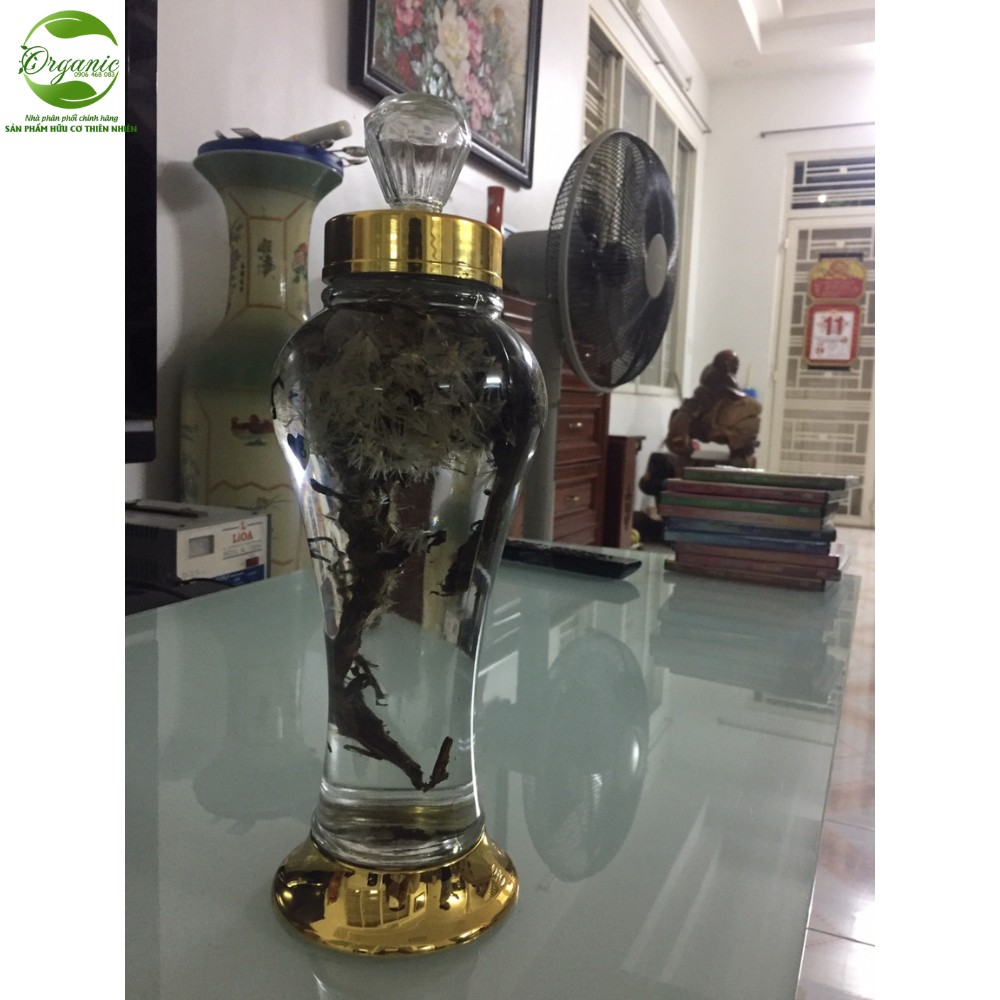 tuyết liên hoa ngâm rượu