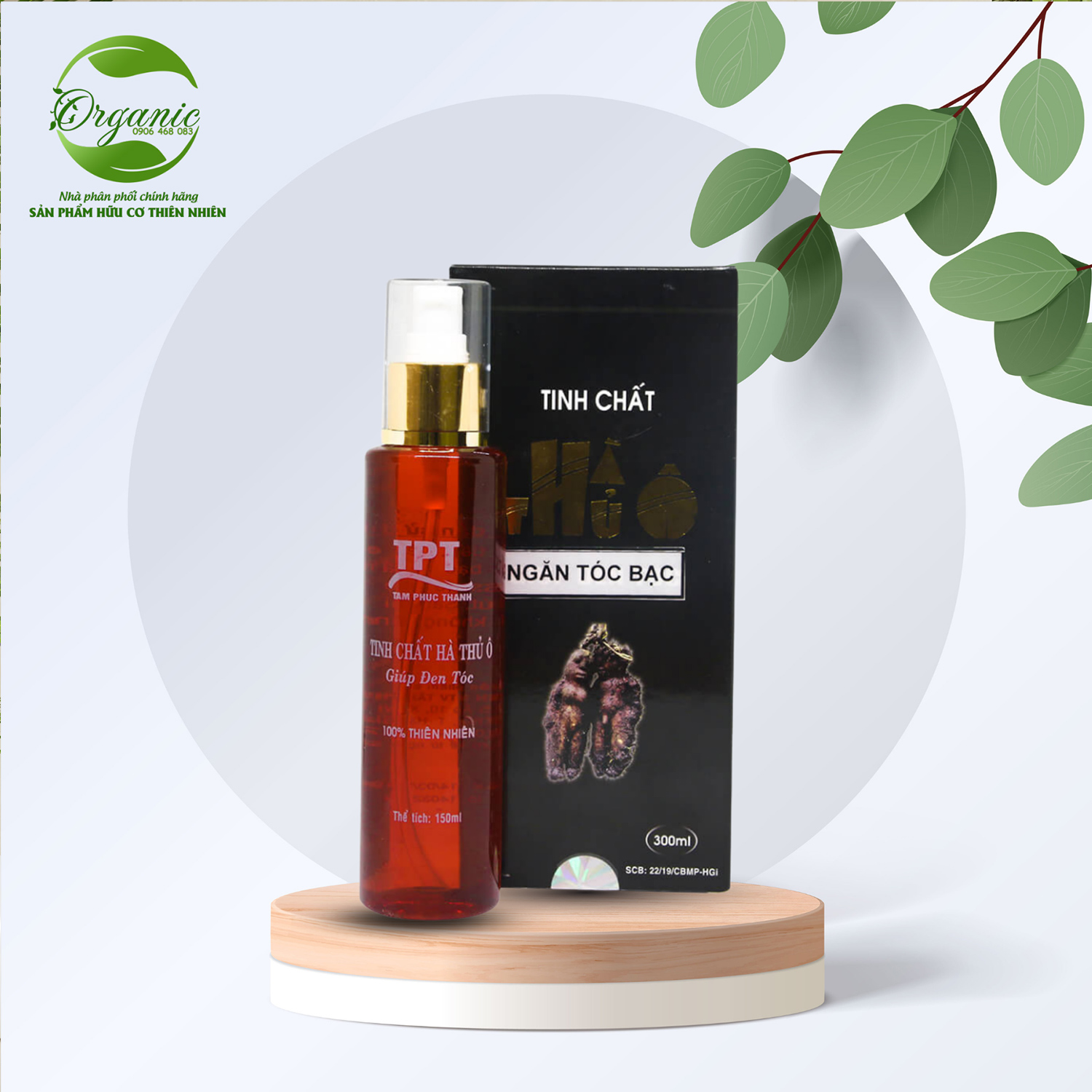 Tinh chất hà thủ ô ngăn tóc bạc