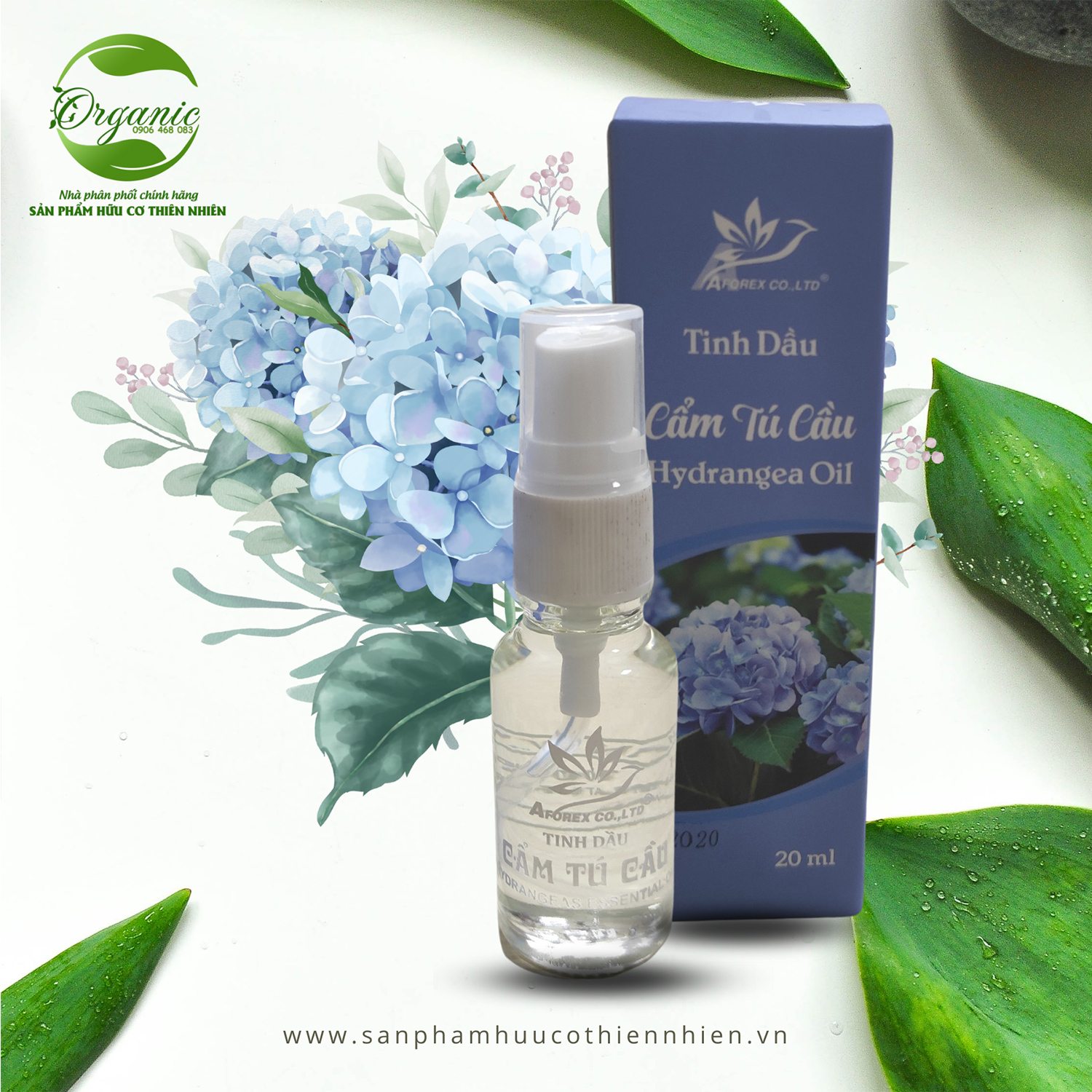 Tinh dầu Cẩm Tú Cầu Aforex