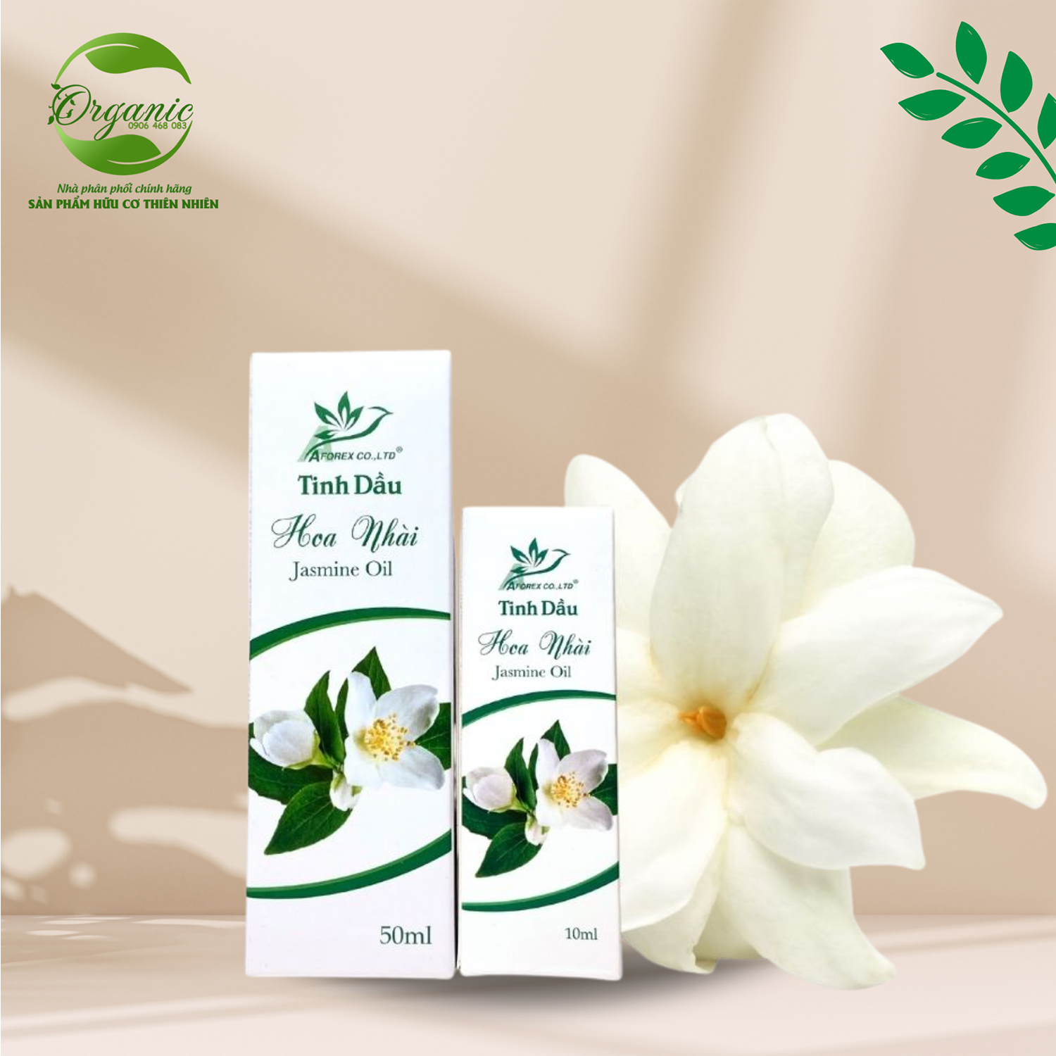 Tinh Dầu Hoa Nhài Là Gì?