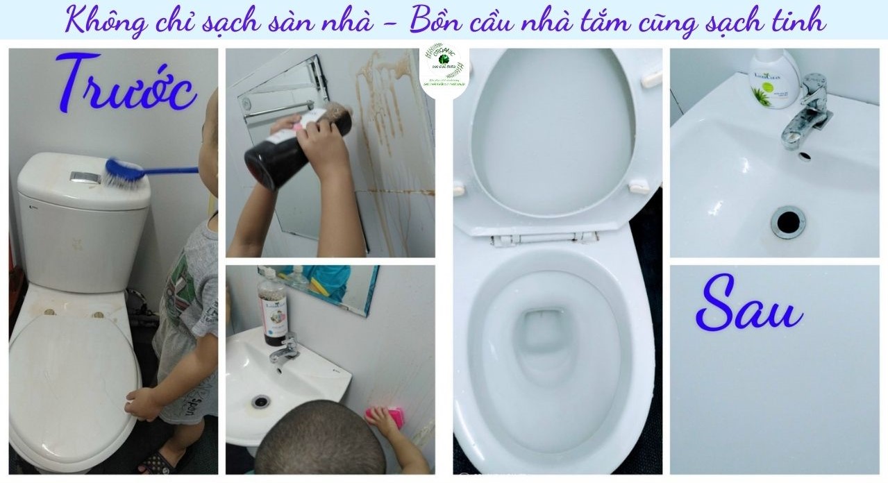 Nước lau sàn hữu cơ layer clean