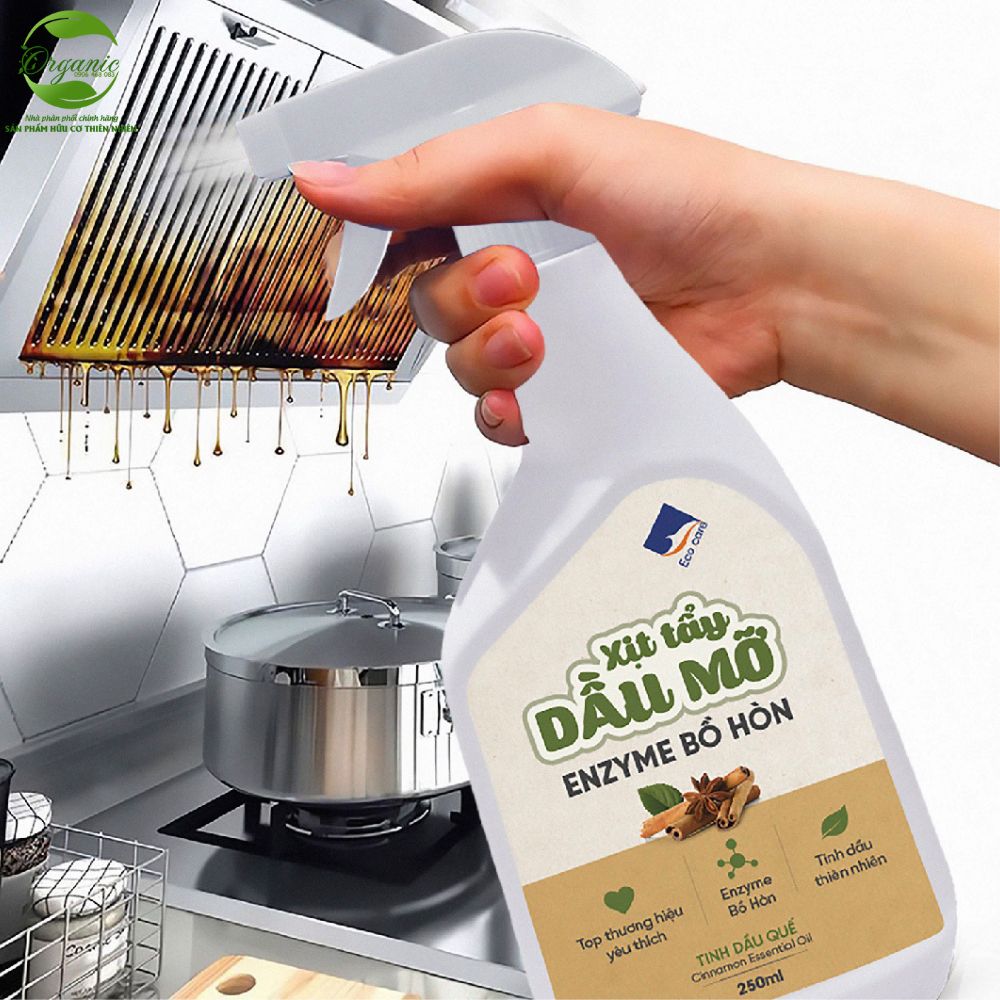 Xịt Tẩy Dầu Mỡ Enzyme Bồ Hòn Ecocare 500ml