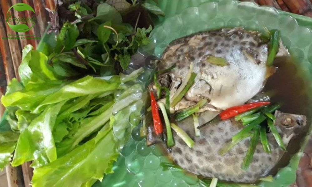Cách Làm Cá Nâu Kho Lạt