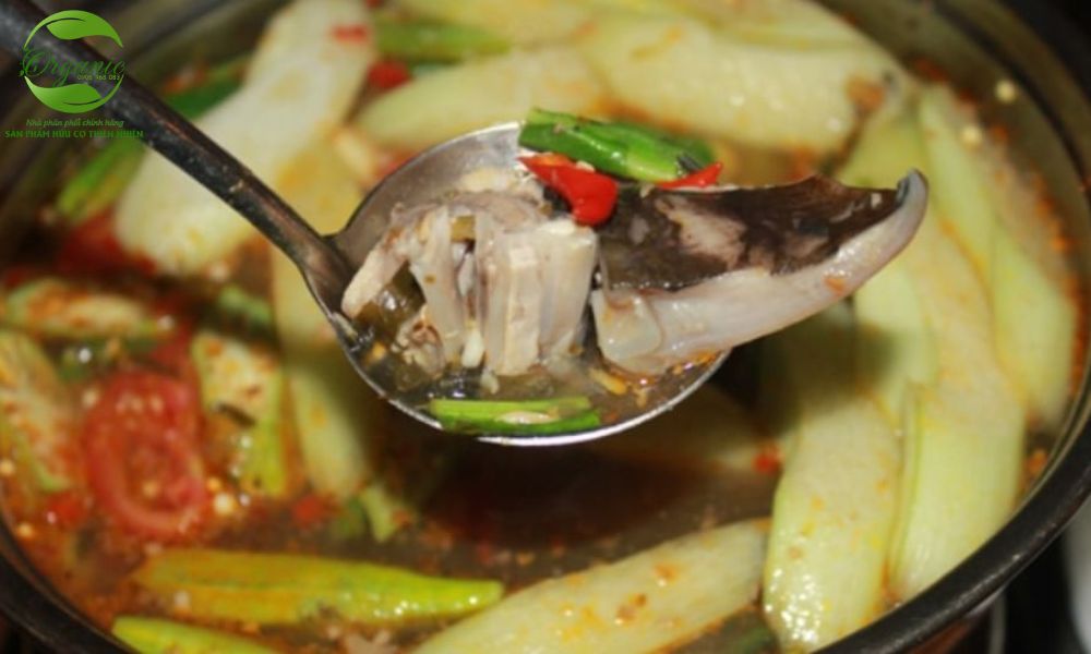 Cách Làm Cá Nâu Nấu Mẻ Thơm Ngon, Đậm Chất Miền Quê